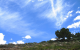 Skyscene (animated wallpaper)