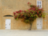 wall & flower in malta