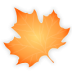 Maple-leaf