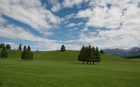 Meadows in Cansiglio