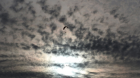 Paraglider on sky 1920x1080