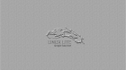 LinuxLite Embossed on Canvas