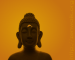 Zenwalk-Buddha