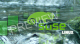 SuSE Linux Green Wallpaper
