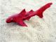 Red-Black-Shark
