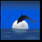 UserImage - Midnight Dolphin