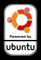 Ubuntumsk_stick.2