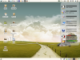 Xfce4.4 with adesklets System Monitor