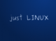 just LINUX