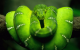 Green Snake HD