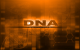 DNA: The only way... [orange]