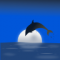 UserImage - Midnight Dolphin